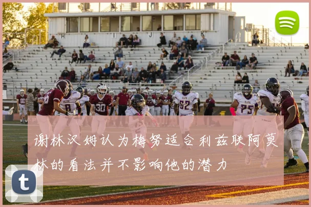谢林汉姆认为梅努适合利兹联阿莫林的看法并不影响他的潜力