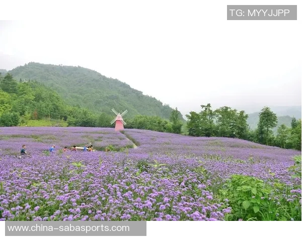 20岁弟媳初到欧洲遭重病险丧命回乡后重拾人生新篇章